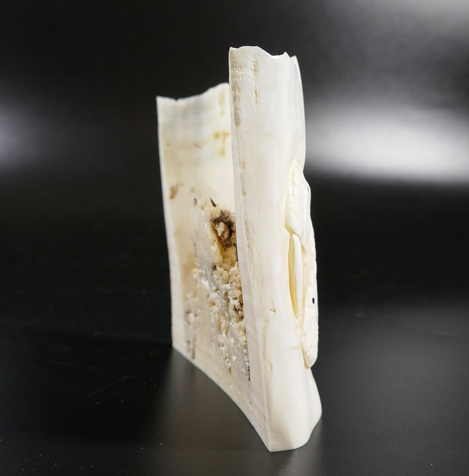 Ivory Bas Relief Walrus Carving Eskimo Art Dennis Pungowiyi