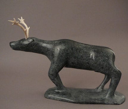 Caribou