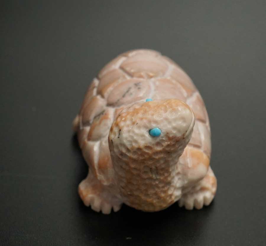 Michael Tucson Dolomite Turtle