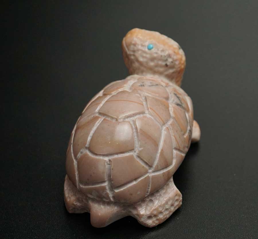 Michael Tucson Dolomite Turtle