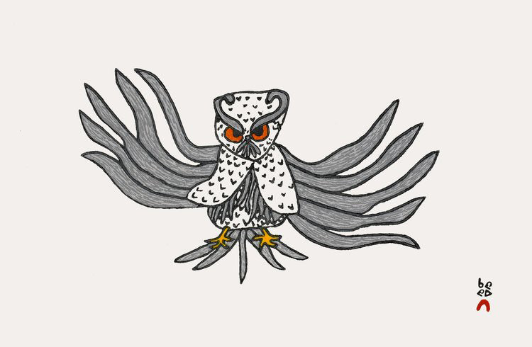 Almighty Owl by Ooloosie Saila