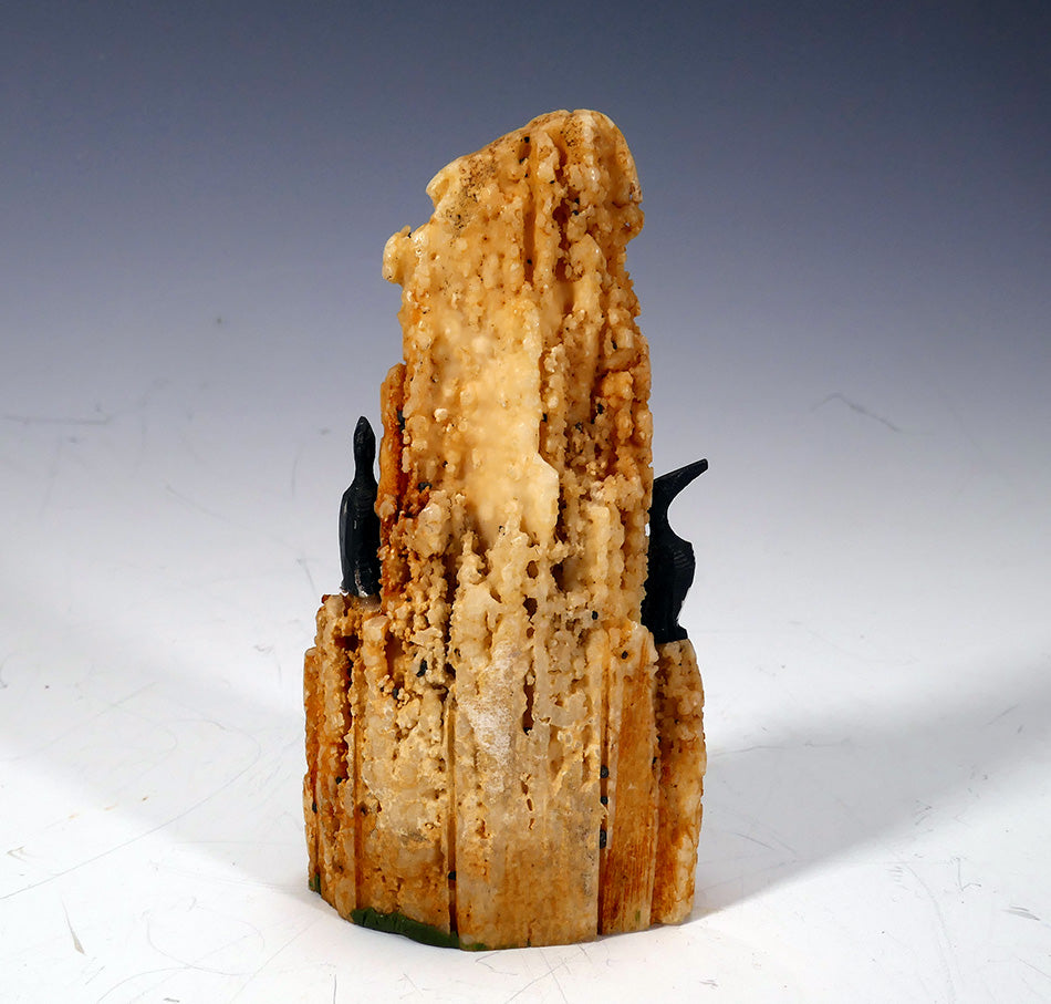 Alaskan Native Art Ivory Puffin Rookery Inuit/Eskimo