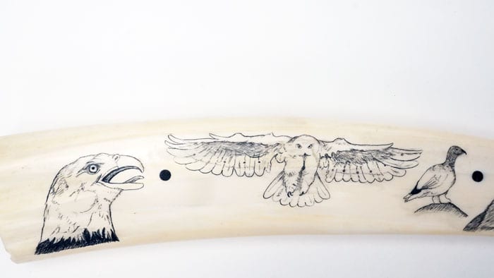 Arnold Olanna Scrimshaw Tusk