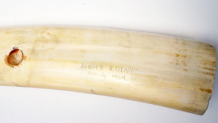 Arnold Olanna Scrimshaw Tusk