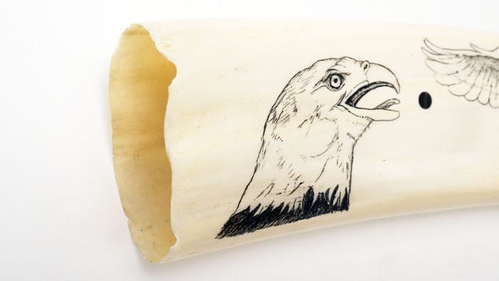 Arnold Olanna Scrimshaw Tusk