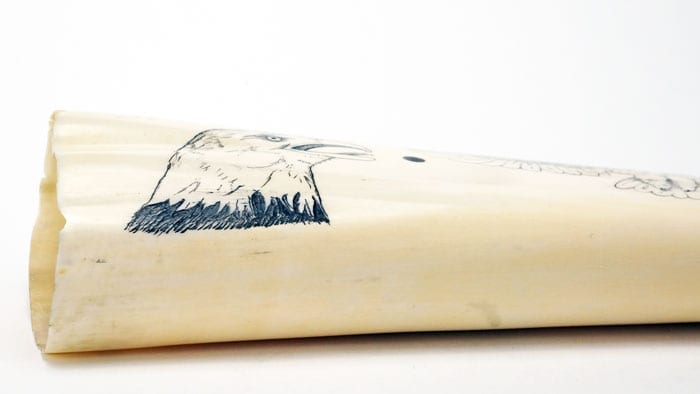 Arnold Olanna Scrimshaw Tusk
