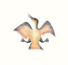 Cee Pootoogook Jubilant Bird
