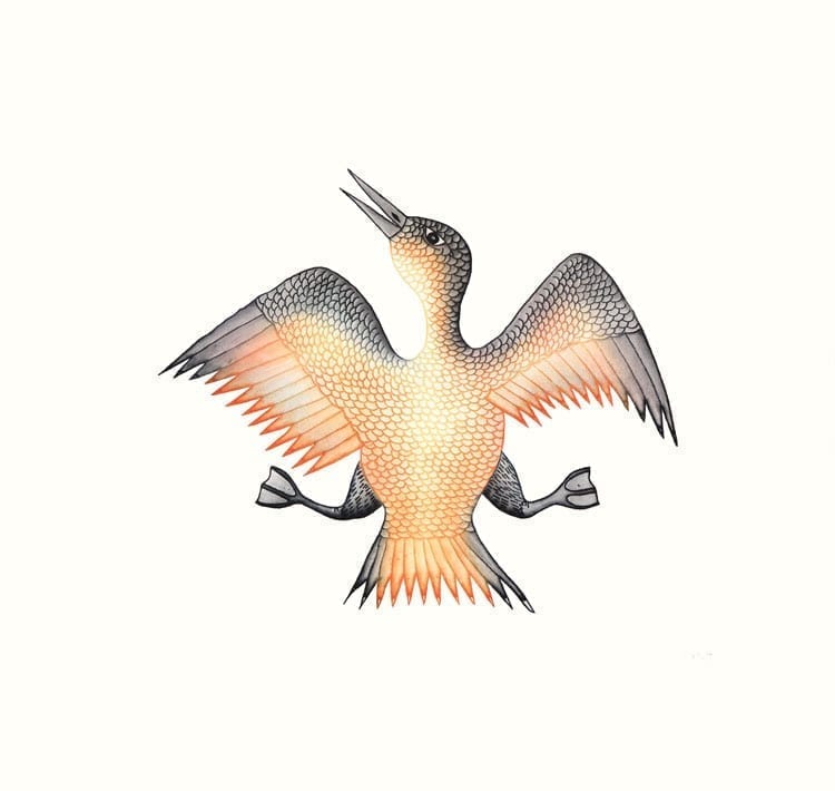 Cee Pootoogook Jubilant Bird