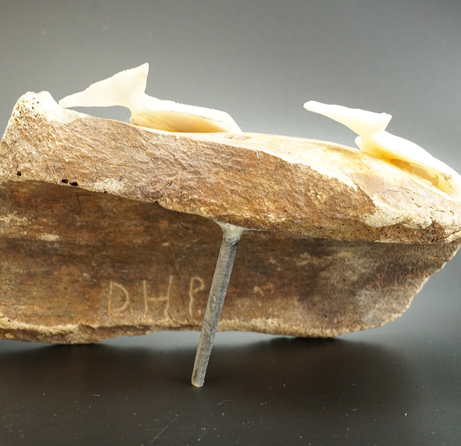 Dennis Pungowiyi Eskimo Carving Halibut Trio