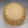 Eric Otter Bacon Passamaquoddy Ash Sweetgrass and Birch Bark Curl Basket