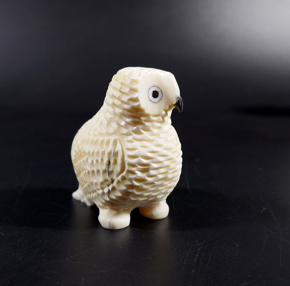 Eskimo Art Melcher Oozevaseuk Small Textured Ivory Owl