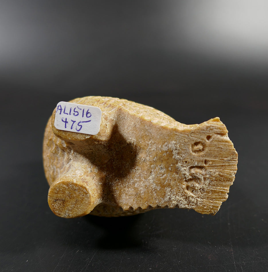 Eskimo Art Melcher Oozevaseuk Large Textured Whalebone Owl