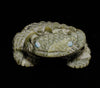Green Banded Ricolite Horned Toad Sedrick Banteah Zuni