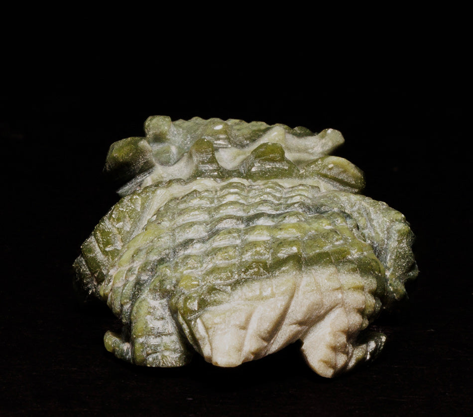 Green Banded Ricolite Horned Toad Sedrick Banteah Zuni