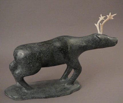 Caribou