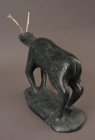 Caribou