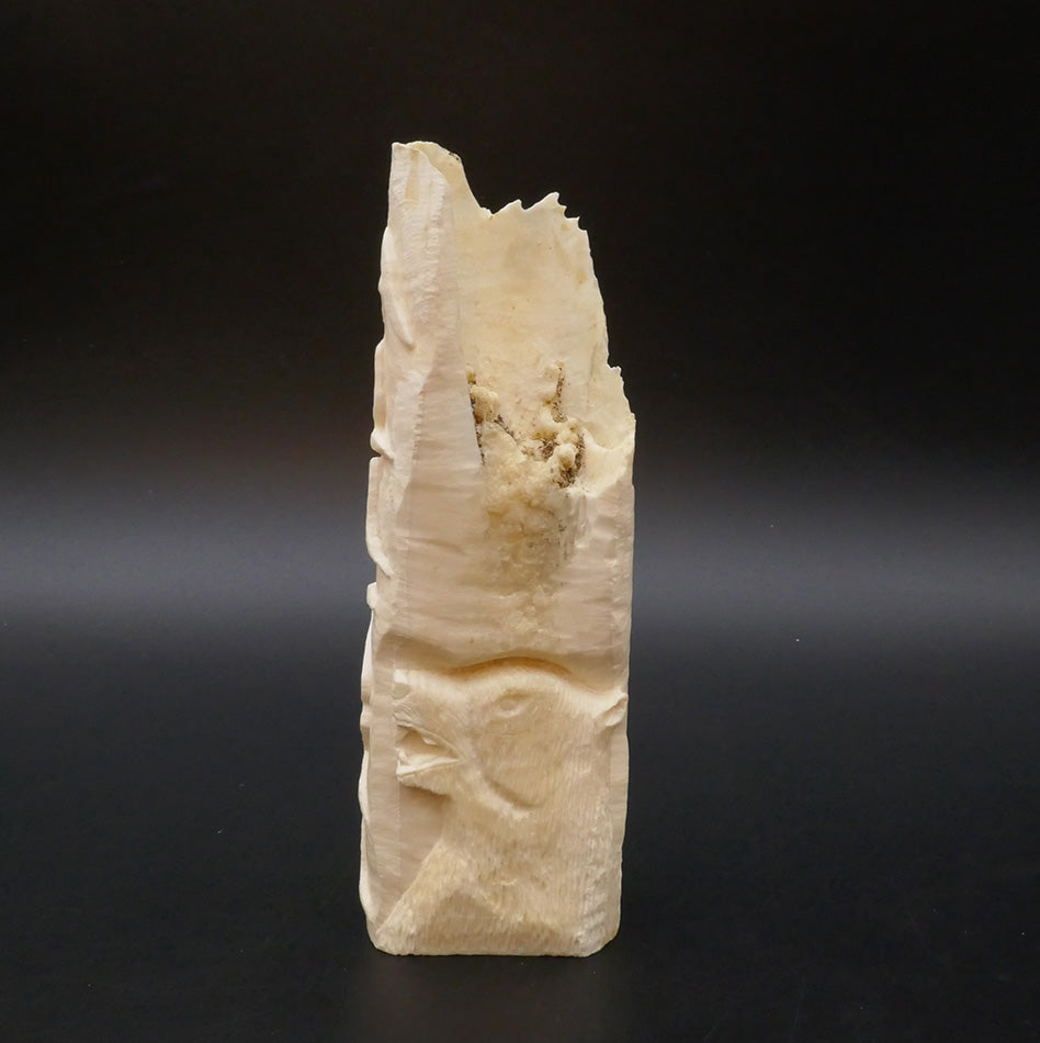 Archie Slwooko Impression of Alaska Bas Relief Walrus Tusk Eskimo Art