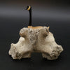 James Aningayou Bone Goose on Nest Eskimo Art