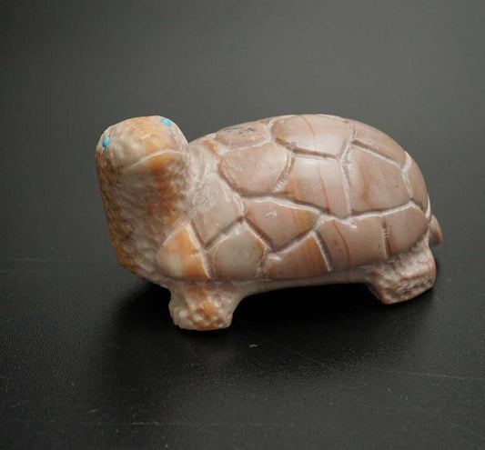Michael Tucson Dolomite Turtle