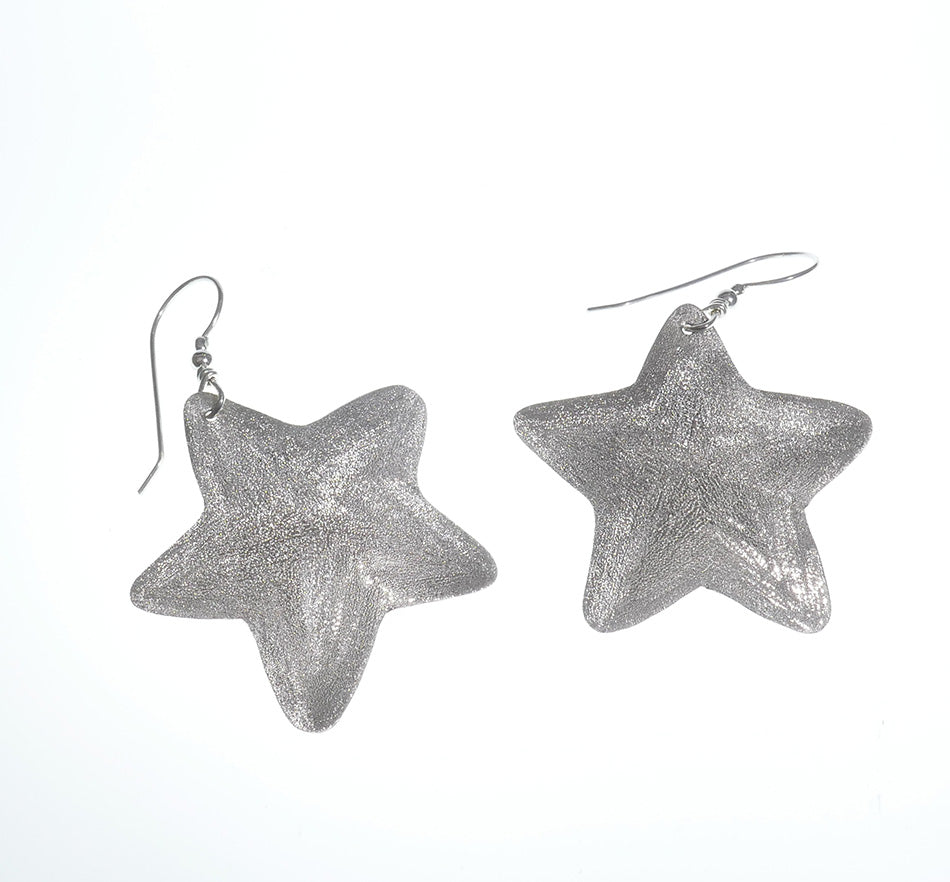 Native American Jewelry Frosty Star Earrings Geri Arviso