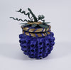Pam Cunningham Penobscot Miniature Sweetgrass and Ash Blueberry Basket