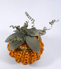 Penobscot Paula Thorne Large Pumpkin Basket