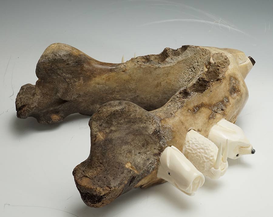 Sam Dimmick Bone Bear with Walrus Tusk Companions