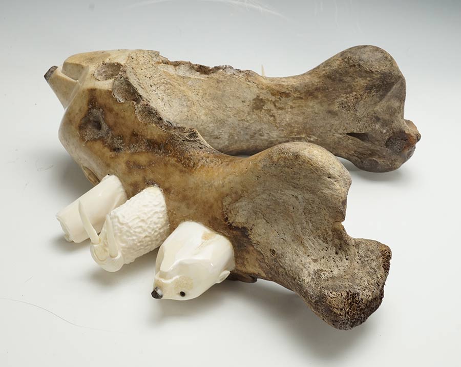 Sam Dimmick Bone Bear with Walrus Tusk Companions