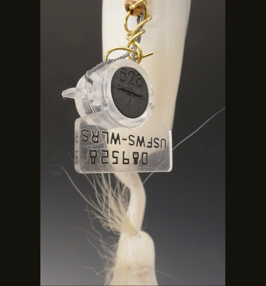 Susie Silook Eskimo Yupik Art Miss Aymaaramka