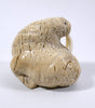 Alaskan Eskimo/Inuit Bone Walrus