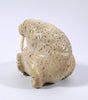 Alaskan Eskimo/Inuit Bone Walrus