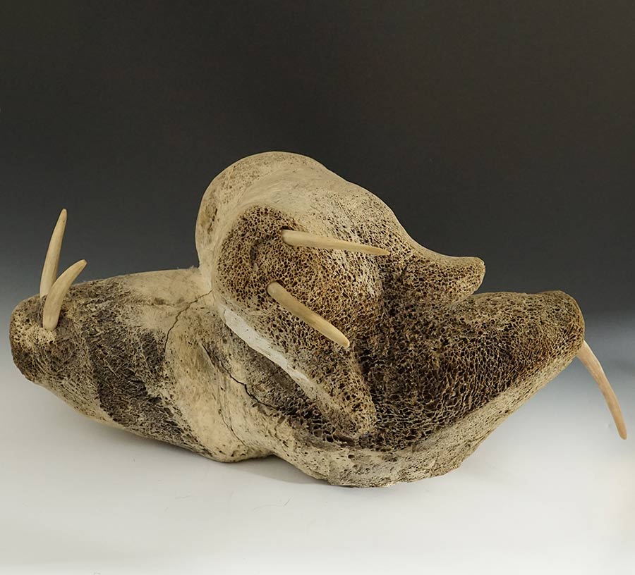 Three whalebone playing walruses